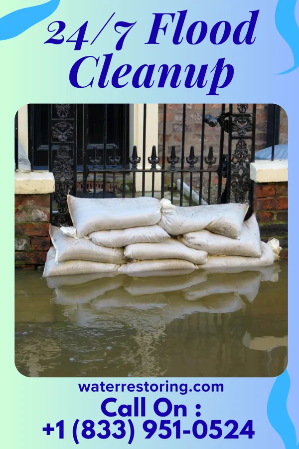 24/7 Flood Cleanup in Eagle Lake, IL