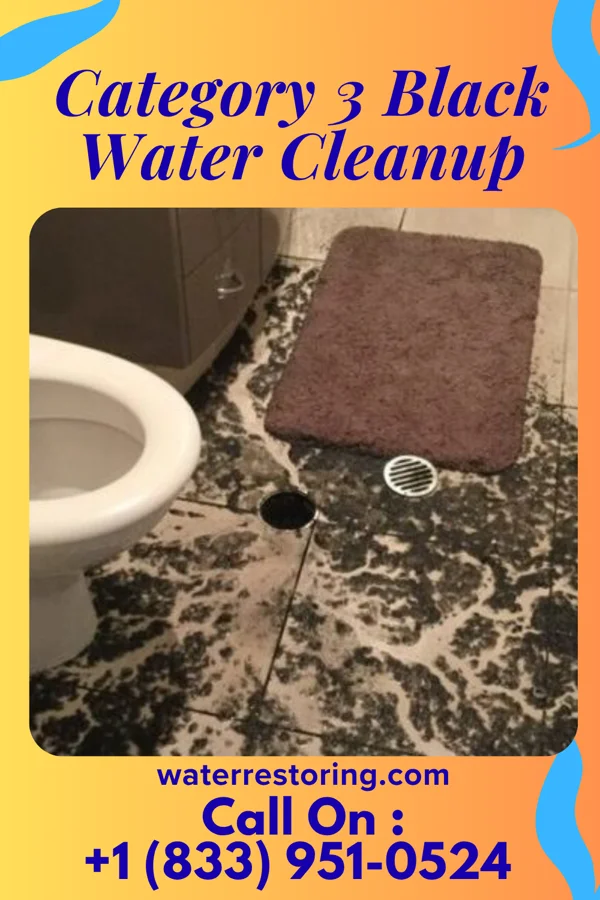 Category 3 Black Water Cleanup in Eagle Lake, IL