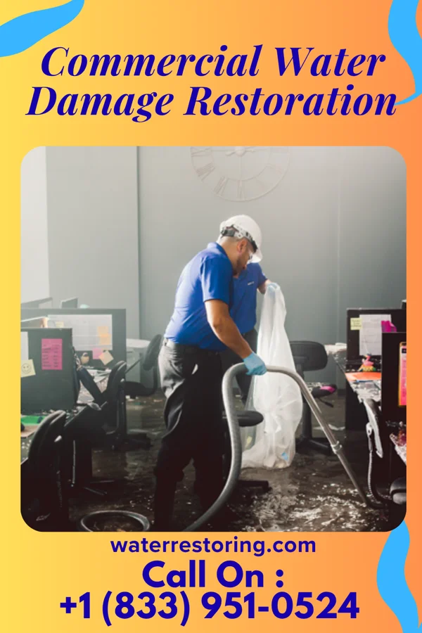 Commercial Water Damage Restoration in Eagle Lake, IL