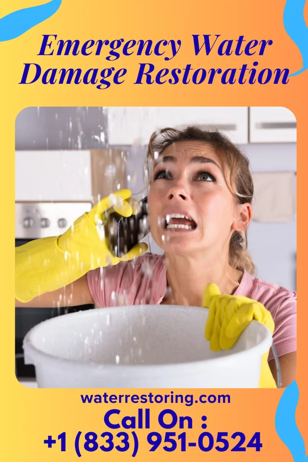 Emergency Water Damage Restoration in Eagle Lake, IL