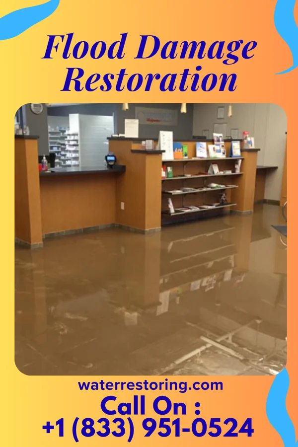 Flood Damage Restoration in Eagle Lake, IL