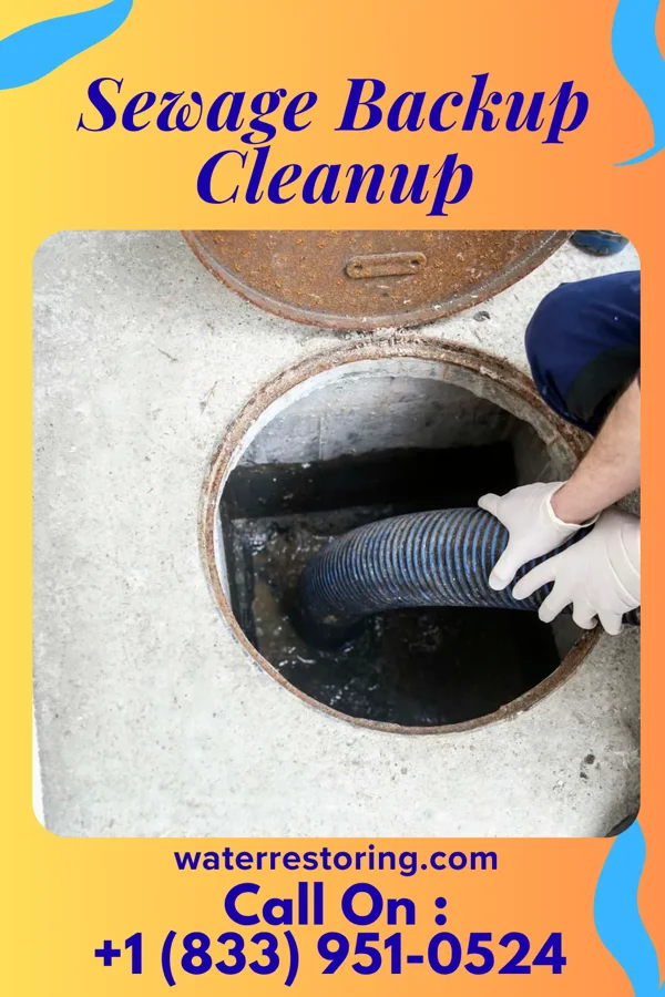 Sewage Backup Cleanup in Eagle Lake, IL